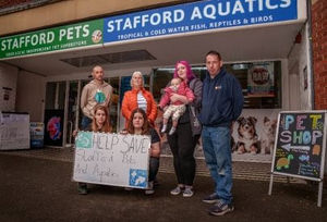 Stafford Aquatics