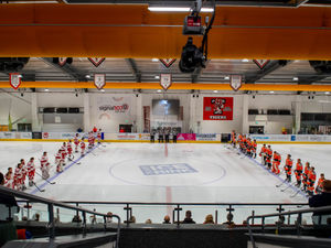 Supporting image for story: Returning Telford Tigers remember Queen