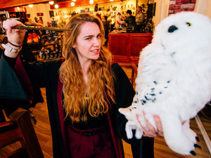 Supporting image for story: New Shrewsbury shop casting a spell on Harry Potter fans