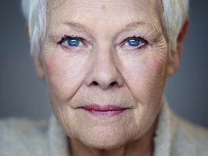 Supporting image for story: Sponsors wanted for star-studded Ludlow Fringe festival featuring Judi Dench