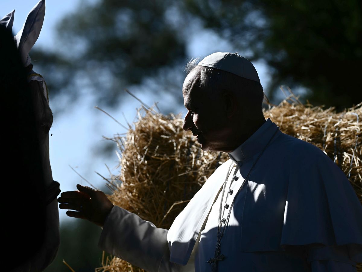 Pope feeds fish and pats horses as he opens Vatican’s sustainable farming centre