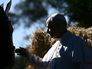 Supporting image for story: Pope feeds fish and pats horses as he opens Vatican’s sustainable farming centre