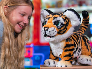 Supporting image for story: Revealed: The 12 'must-have' toys for Christmas in 2017