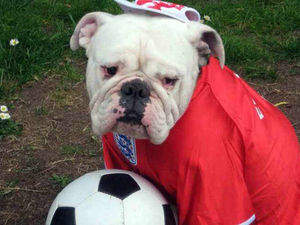 Supporting image for story: Euro 2016: Show how you are supporting your country