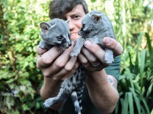 Supporting image for story: Telford zoo babies stealing limelight 