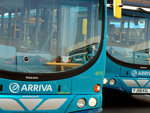 Supporting image for story: Pensioners back petition over future of free bus passes