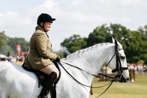 Newport Show at Chetwynd Deer Park
