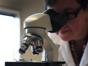 Supporting image for story: First vaccine for ovarian cancer – what we know so far