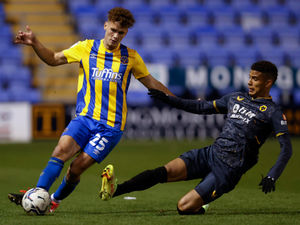 Supporting image for story: Lessons to learn for Wolves’ pups