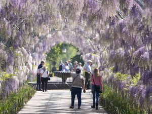 Supporting image for story: UK set for ‘classic’ spring weather, including frosty nights and warm days