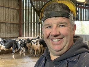 Supporting image for story: Shropshire Farming Talk: Milk Contracts: Proactive Strategies with Cattle Foot Trimming