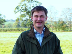 Supporting image for story: Virus has caused price volatility