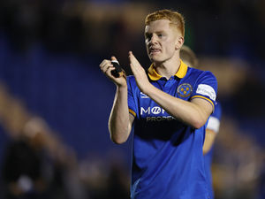 Supporting image for story: Morgan Feeney believes Shrewsbury should only get better