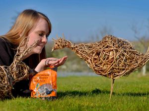 Supporting image for story: Get crafty with willow workshops at Forest of Mercia