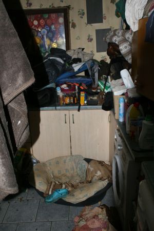 The farm at Tilstock