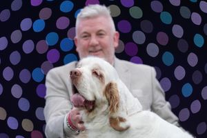 Winner of Best in Show and Gundog group Clumber Spaniel named Bruin with owner and handler Lee Cox