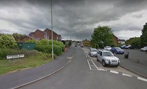 Supporting image for story