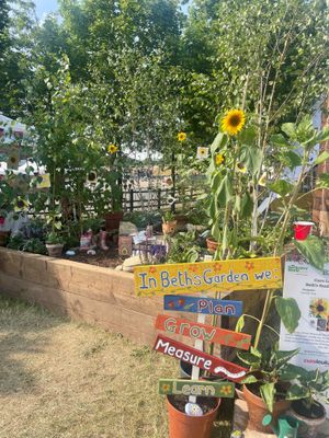Beth's Sunflowers garden at Gardeners' World Live