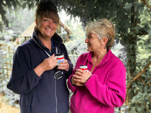 Supporting image for story: £5,000 top prize as hospice Christmas raffle launched 