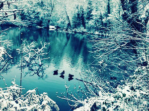 Supporting image for story: Sub zero temperatures see Shropshire shiver through the week