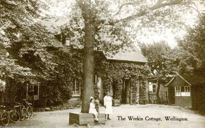 This large tree still stands outside Halfway House today