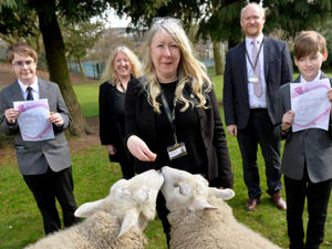 Supporting image for story: Hednesford school clinches prestigious wellbeing award