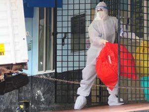 Supporting image for story: Nipah virus: the symptoms to look out for after outbreak of deadly bat-borne disease