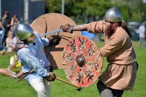 Supporting image for story: Gallery: Historic Battle of Wodensfield brought to life at Wednesfiled High School