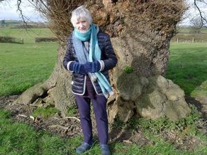 Supporting image for story: Family demanding action after 'sickening' attack on pensioner