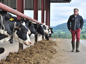 Supporting image for story: High quality varieties drive performance