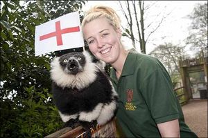 Dudley Zoo St George