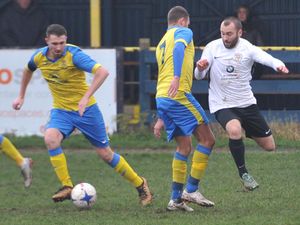 Supporting image for story: Grassroots clubs will go to the wall without financial support, MP warns