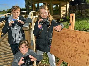 Supporting image for story: A bird's eye view at new hide near Ellesmere