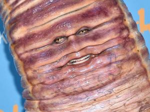 Supporting image for story: Queen of Halloween: Heidi Klum’s elaborate costumes over the years