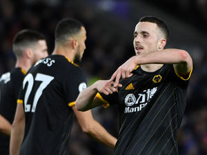 Supporting image for story: Brighton 2 Wolves 2 - Report and pictures 