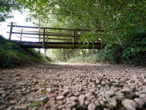 Supporting image for story: Hosepipes must be banned, Environment Secretary urges water companies