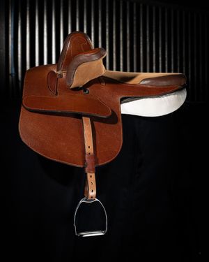 Kate's prize winning saddle