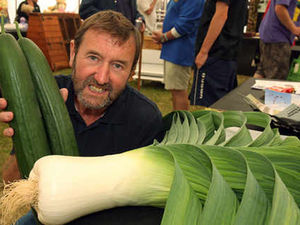 Supporting image for story: Thousands defy the weather for Sandwell Show