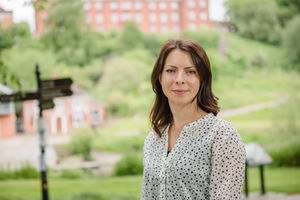 Supporting image for story