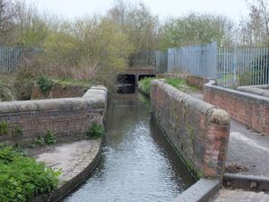 Supporting image for story: Chance for public to learn about nature reserve