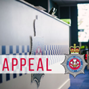 Police appeal for information after Powys collision