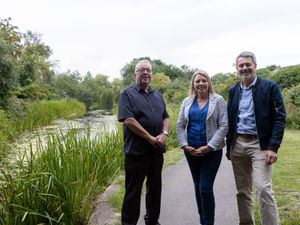 Supporting image for story: Councillors to push to get Newport sites Green Flag recognition