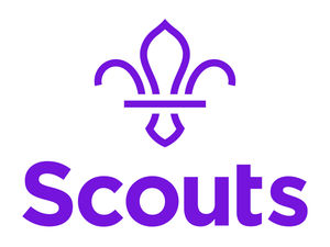 Supporting image for story: Hopes Tenbury Wells Scout group could re-form