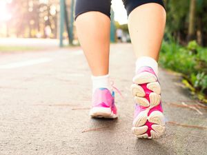 Supporting image for story: Montgomery Walking Festival booking now open