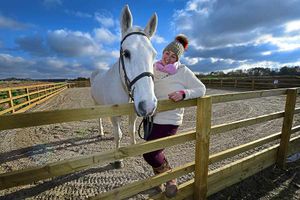 Supporting image for story: New equestrian arena near Market Drayton is mane attraction