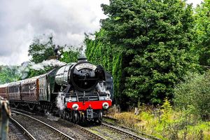 Supporting image for story: Thousands flock to see Flying Scotsman