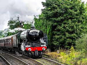 Supporting image for story: Thousands flock to see Flying Scotsman