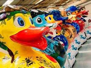 Supporting image for story: Round-the-clock security to guard giant ducks from Telford vandals