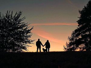 Supporting image for story: Golden glow: Shropshire's picture perfect autumn
