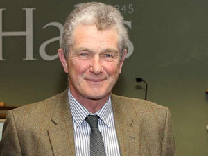 Supporting image for story: Halls boss to step down after 26 years in role